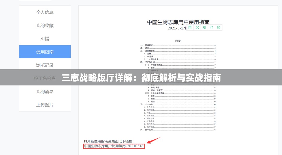 三志战略版厅详解：彻底解析与实战指南