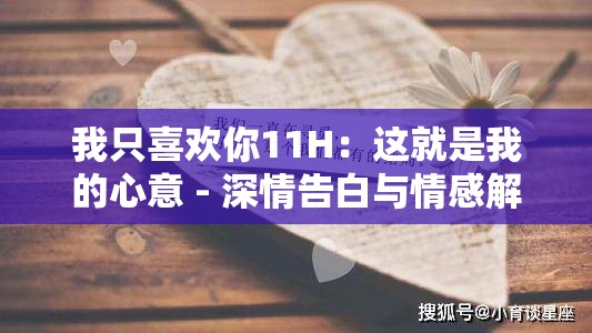 我只喜欢你11H：这就是我的心意 - 深情告白与情感解析