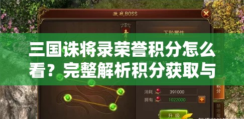 三国诛将录荣誉积分怎么看？完整解析积分获取与查看方法